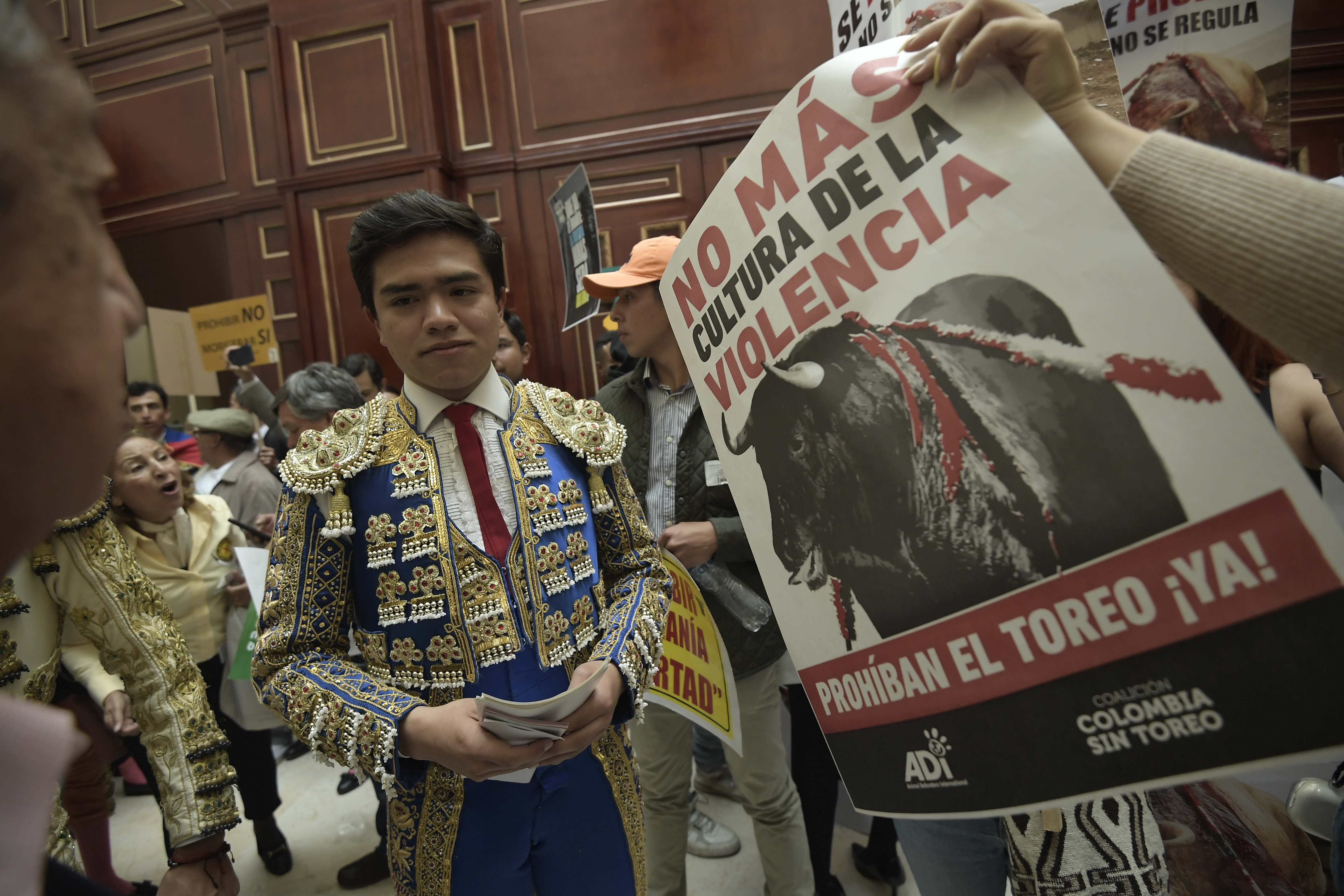 ¿Cuándo empieza la prohibición de las corridas de toros en Colombia ...