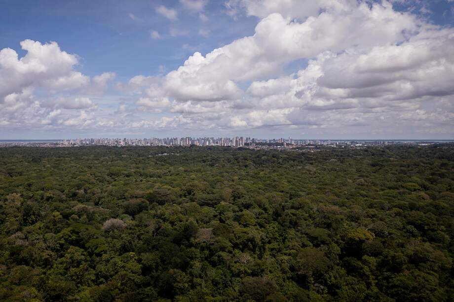 Fotografía aérea en el Parque Estatal de Utingá, una región preservada de la ciudad de Belém (Brasil). Belém acogerá en noviembre la próxima Conferencia sobre el Cambio Climático de la ONU (COP30).