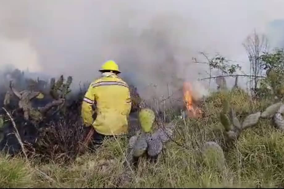 (Imagen de referencia) Por el momento, en el sitio continúan las labores de monitoreo para extinguir en su totalidad este incendio.