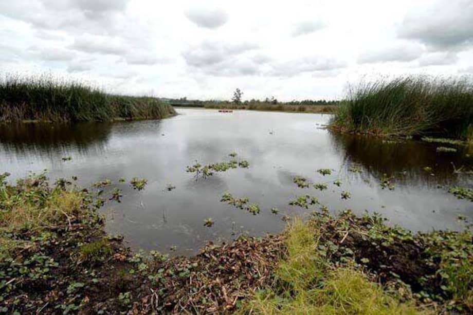 Colombia cuenta con cerca de 31.000 humedales ubicados en 1.094 municipios, que suman alrededor de 25 millones de hectáreas. / Archivo El Espectador