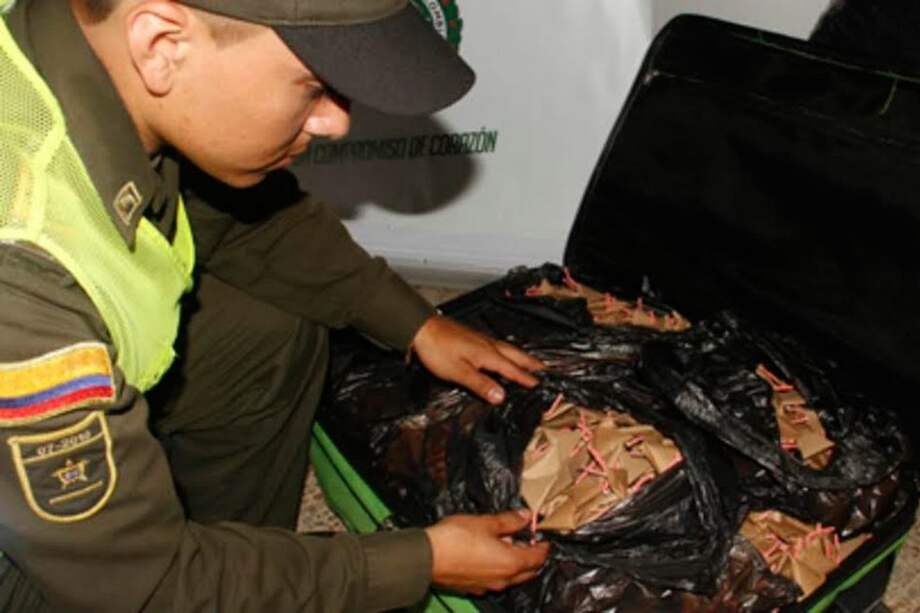Autoridades decomisan cargamento de pólvora en Cali