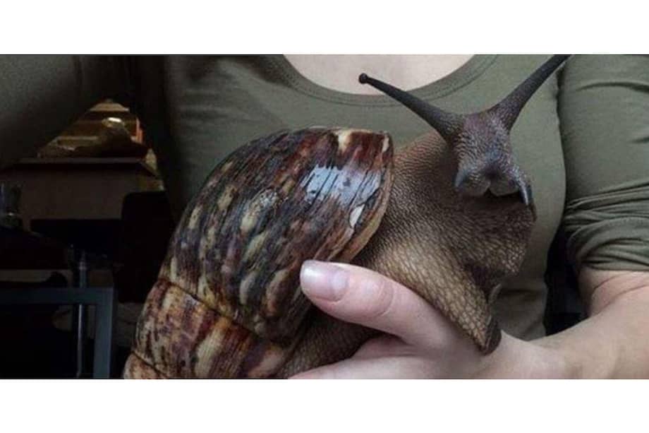 Ricardo Arjona. / Cortesía