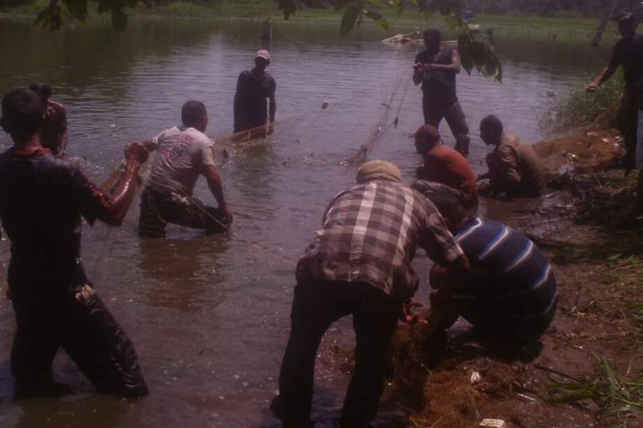 Con repoblación de peces apoyan a víctimas del conflicto armado en Zambrano, Bolívar