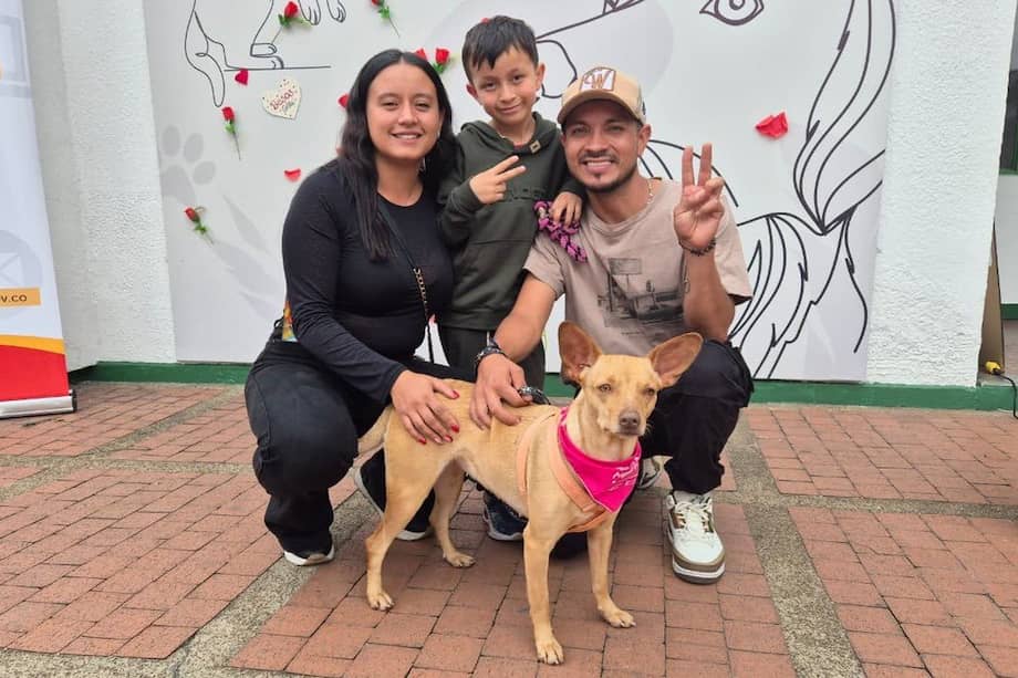 La adopción responsable sigue siendo una de las principales apuestas del IDPYBA para transformar la vida de los animales en Bogotá.