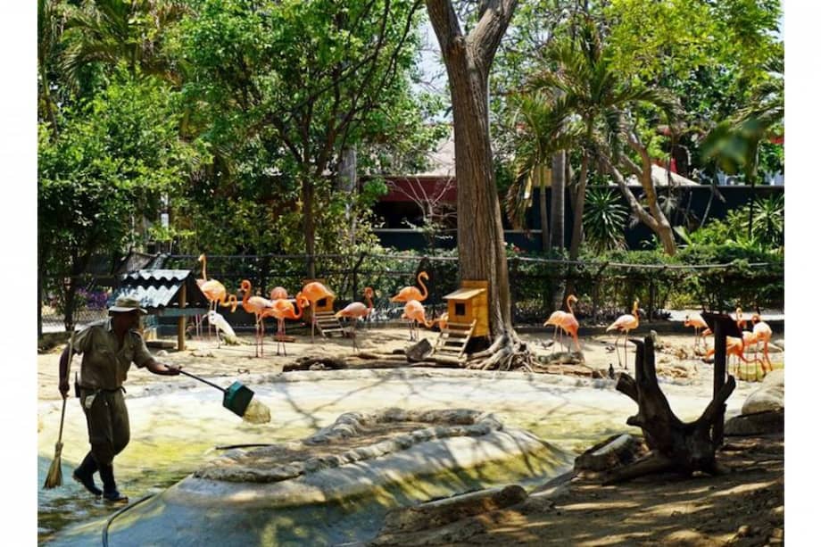 / Foto: Zoológico de Barranquilla