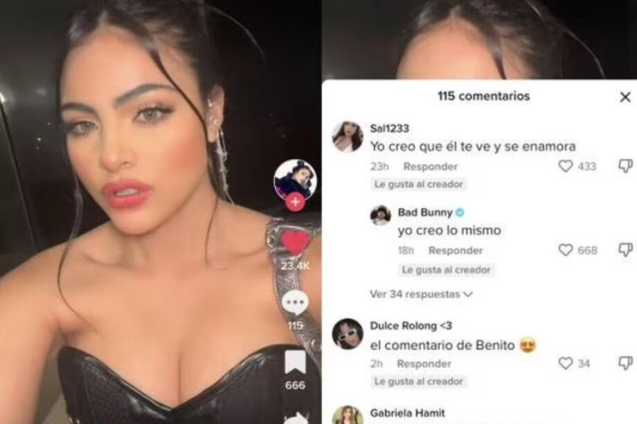 La influenciadora usó su cuenta de TikTok para denunciar el hecho. Tuvo que denunciar al conductor ante la policía mexicana.
