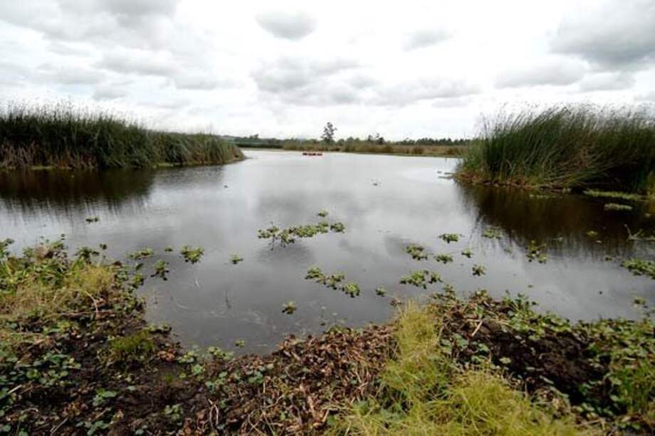 Humedales de Bogotá: oportunidad de conciliación