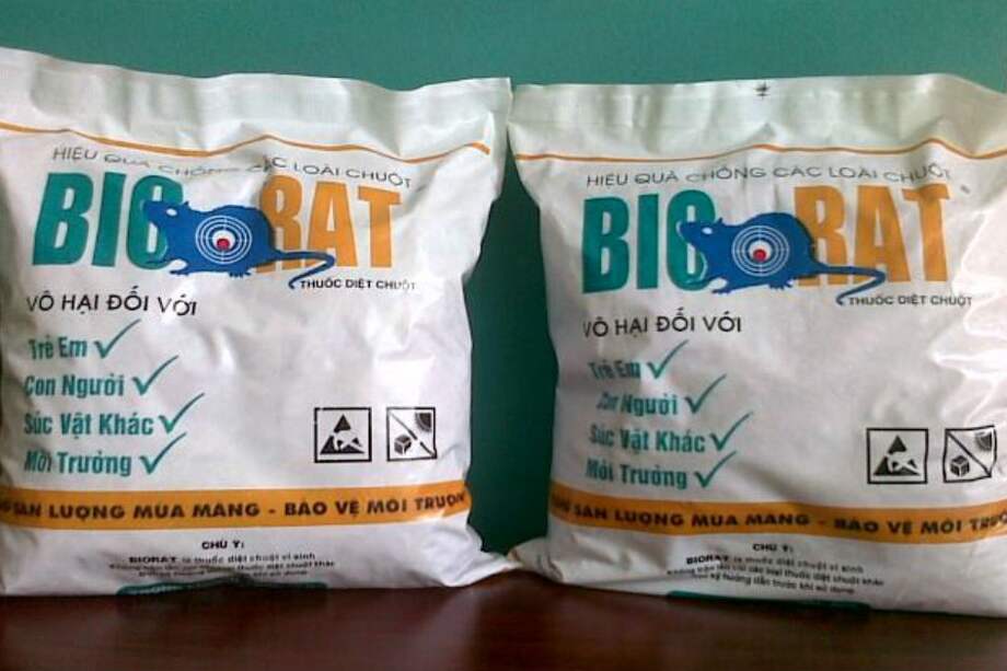 Nicaragua combatirá las ratas para evitar brote de leptospirosis