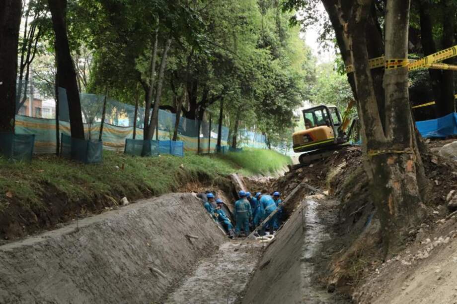 En este sector se realizarán tratamientos de podas estructurales y de estabilidad, traslados y talas.