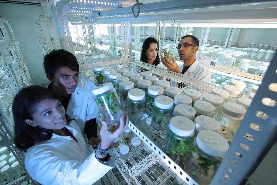 Las investigadoras tienen 1,38 veces más probabilidades que los hombres de sufrir disputas por la selección de los autores.