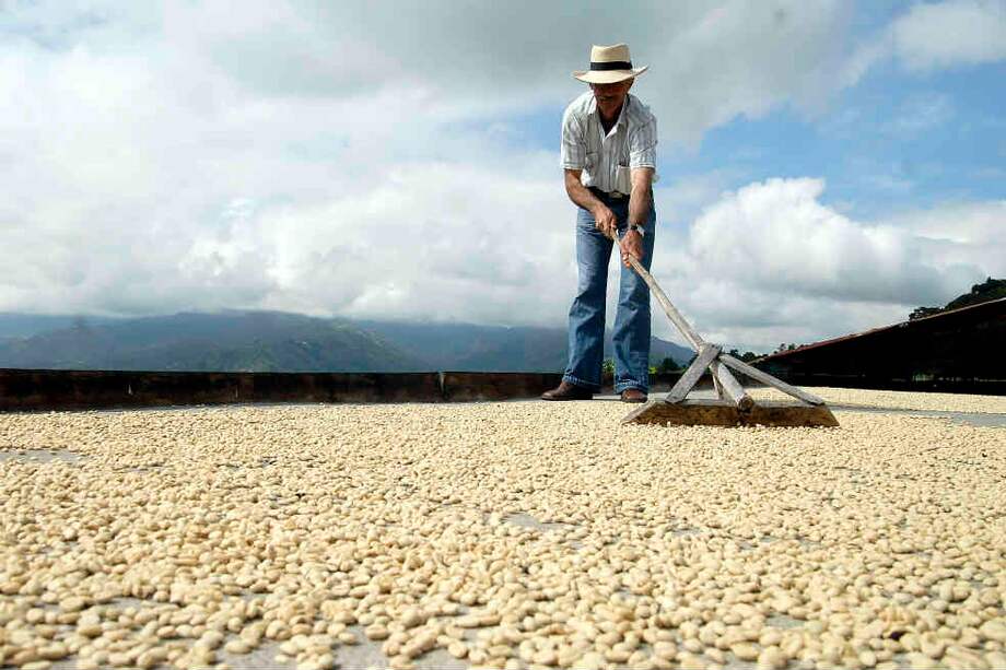 Con café arábico de alta calidad se busca conquistar ese mercado. / David Campuzano