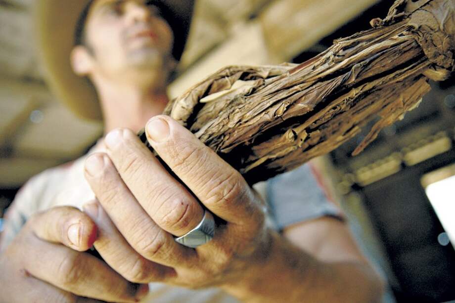Fedetabaco considera que pretender reducir las hectáreas de tabaco en Colombia sería un contrasentido. / Archivo