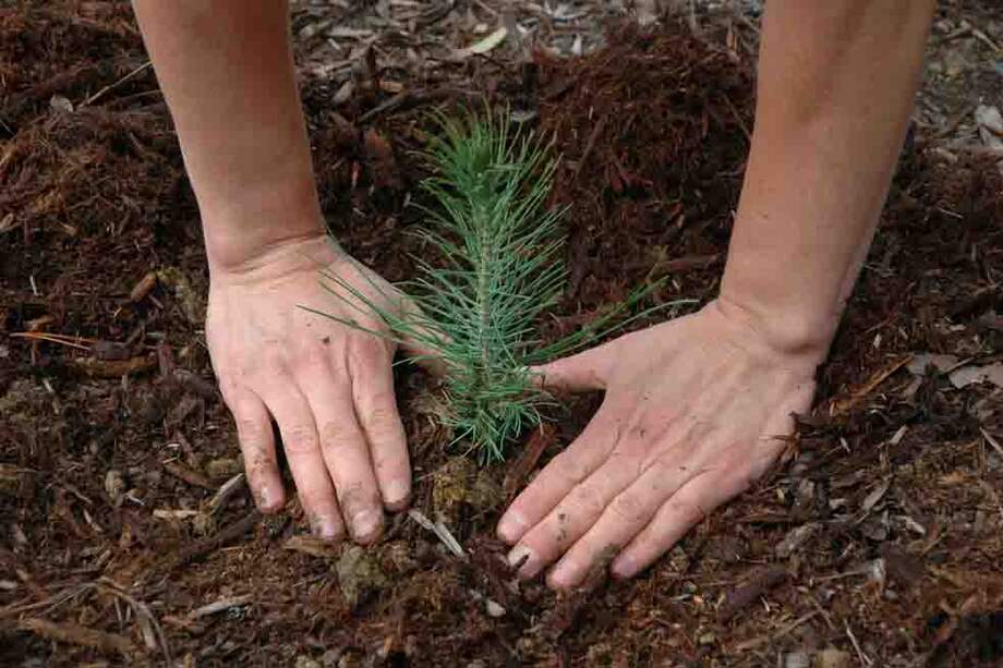 Al menos 200 ecologistas fueron asesinados en 2016, en su mayoría en Latinoamérica