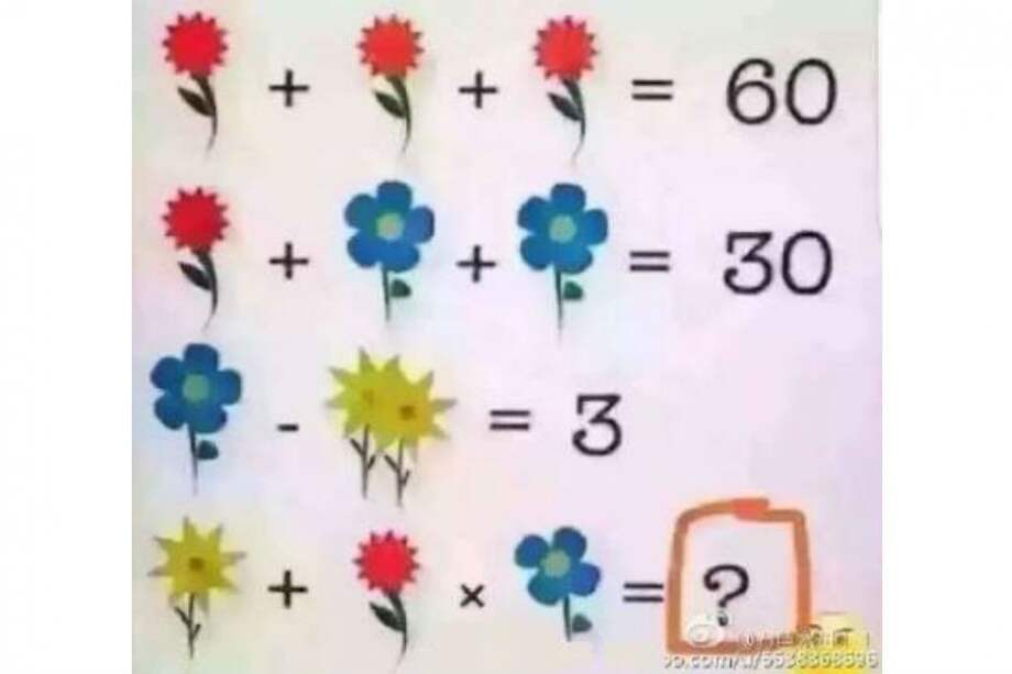 El problema matemático chino sobre las flores que le da la vuelta al mundo