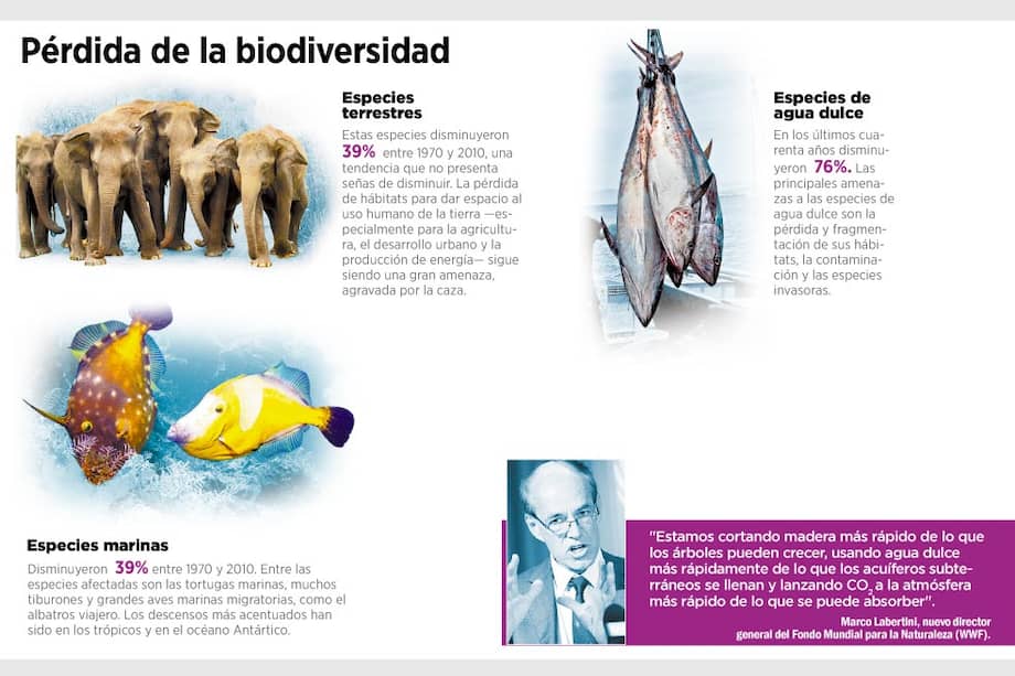 Nuestra biodiversidad está en peligro