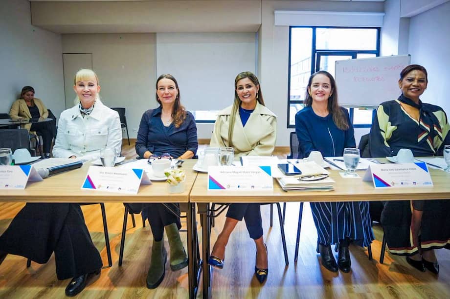 La Red estará compuesta por gobernadoras, alcaldesas y otras funcionarias públicas que servirán como apoyo y espacios de protección a quienes quieran incursionar en el mundo de la política.
