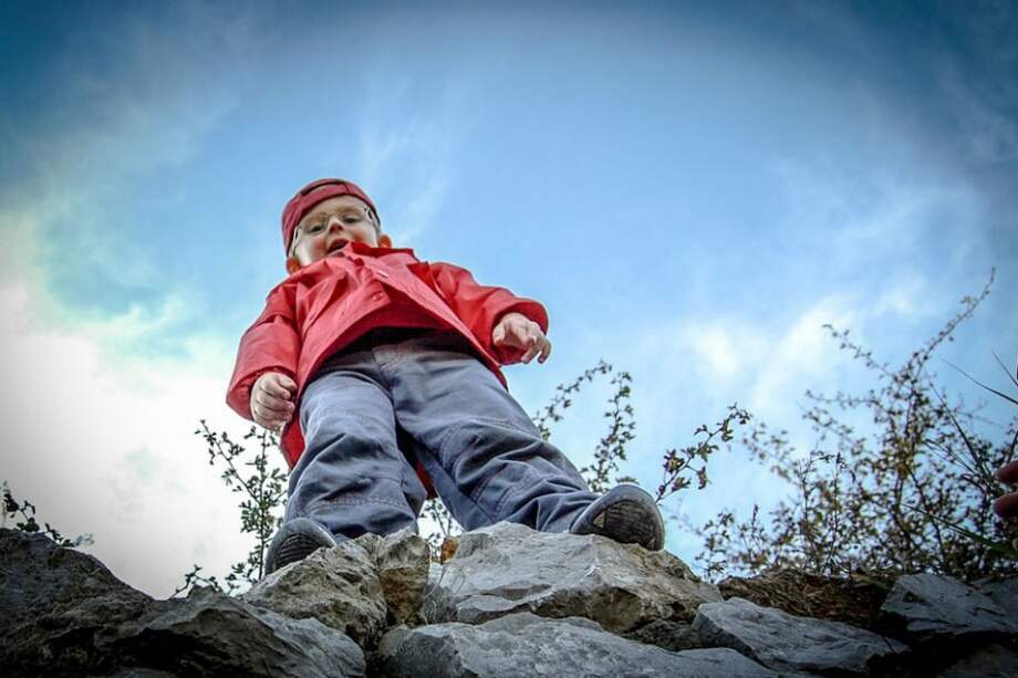 Tomada de Pixabay