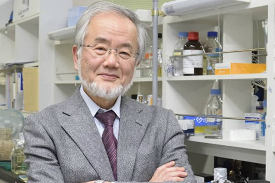 El biólogo japonés Yoshinori Ohsumi recibió el Premio Nobel de Medicina.