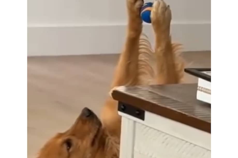 Astro fue captado en un momento poco habitual, adoptando una postura que llamó la atención de miles de usuarios.