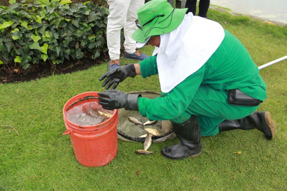 Alcaldía de Bogotá