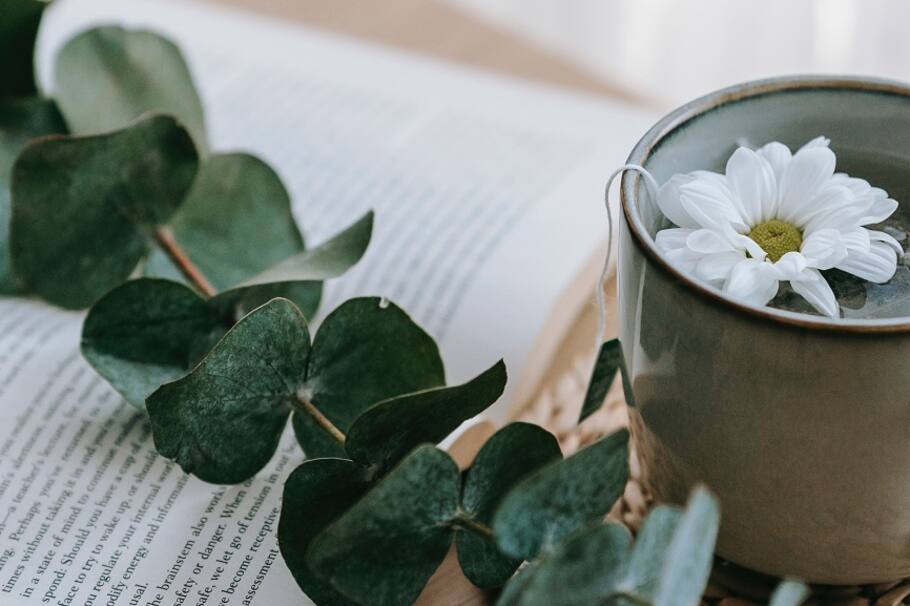 Estas cinco opciones son muy fáciles de conseguir, ¿cuál es tu favorita?