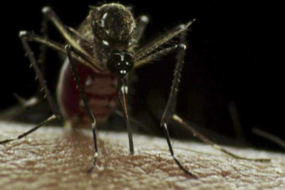 Flickr - Sanofi / Flickr - Sanofi