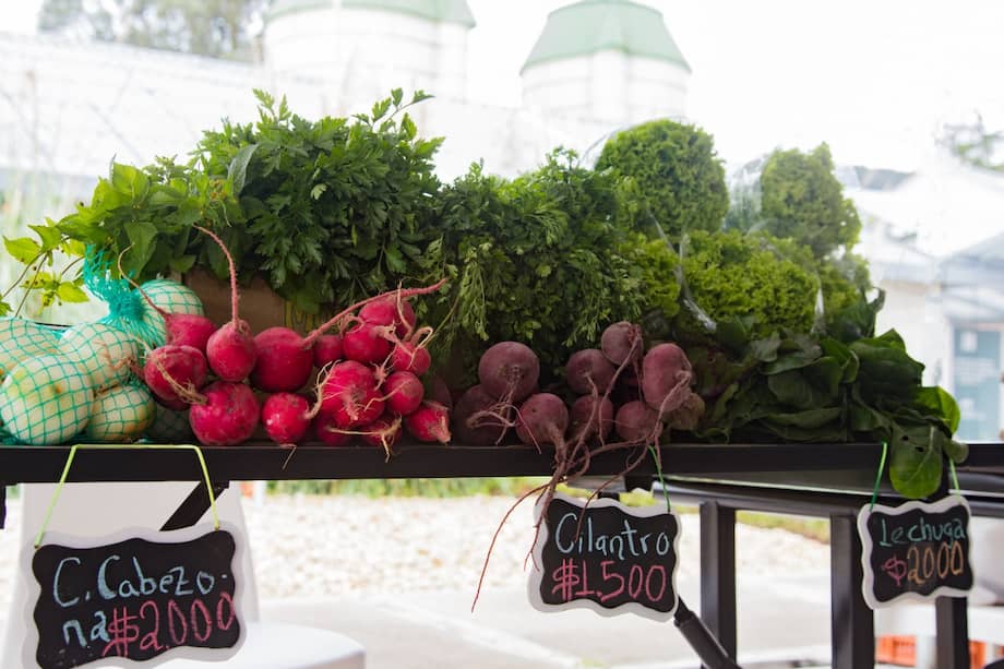 Casa Tibaná, ubicada en la vereda Fagua del municipio de Chía, será escenario de ‚Faguafest‘ el primer festival ambiental