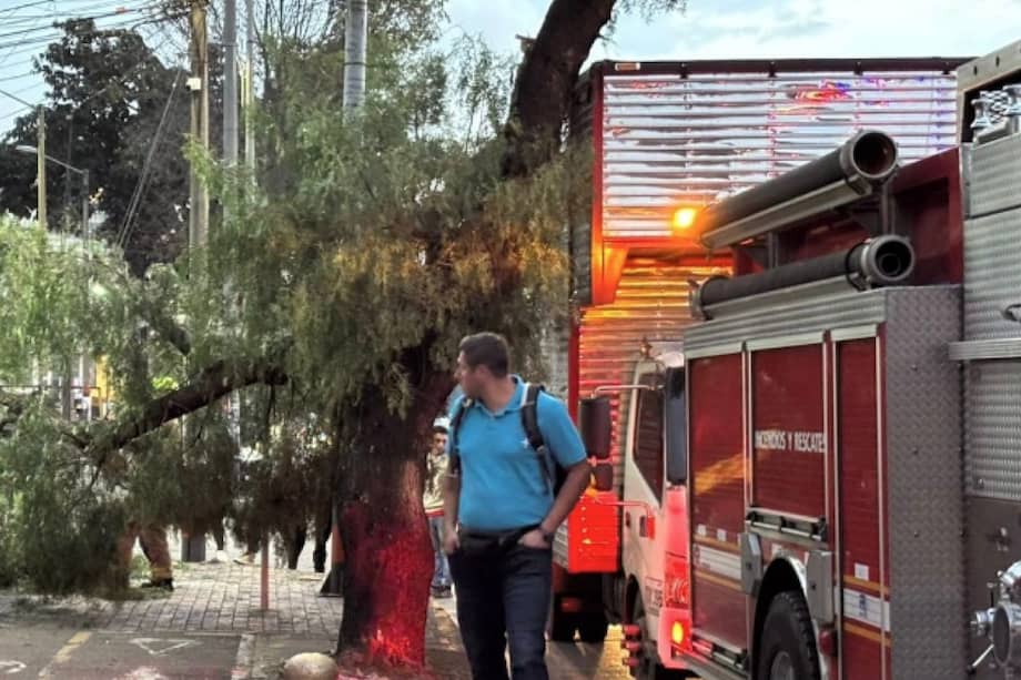 Se registra un choque de un camión contra un árbol en la localidad de Barrios Unidos, en la NQS con calle 67, en sentido sur–norte.
Bomberos de Bogotá hacen presencia en el punto para atender la situación y apoyar la movilidad en la zona.