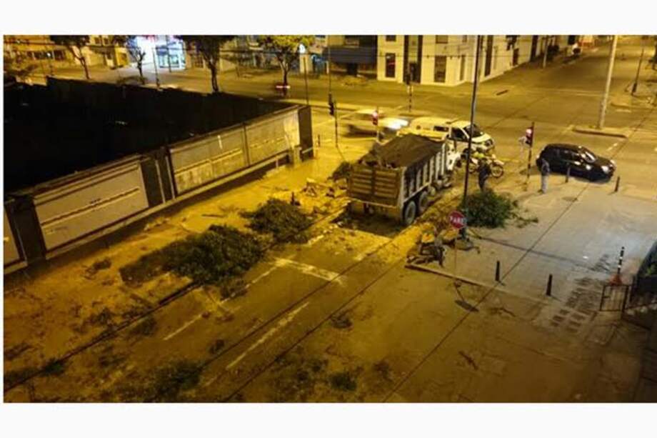 Polémica por ‘arboricidio’ en Bucaramanga