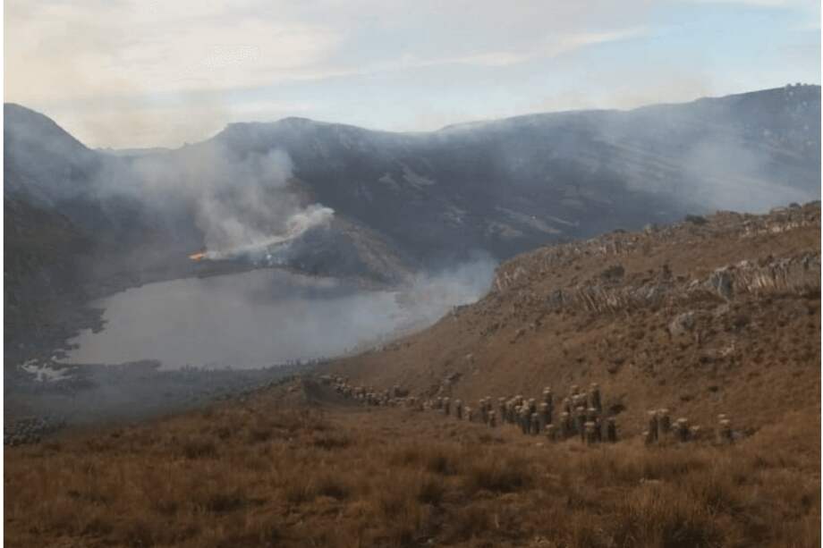 El páramo del Almorzadero es el hábitat de una colonia del Cóndor de los Andes. / Tomado de Twitter: @elsenorxbga