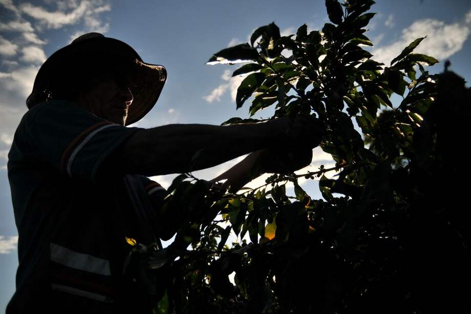 David Campuzano - Archivo El Espectador