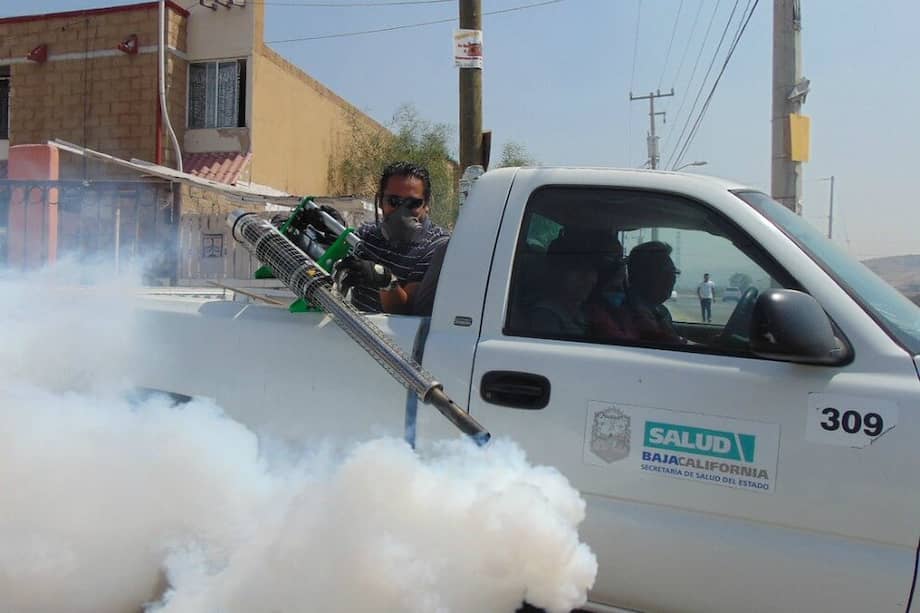 El Dengue se caracteriza por fiebre, dolor en los huesos y dolor de cabeza, dolores en las articulaciones, pérdida del apetito y dolor detrás de los ojos. / Skeeze. PIXABAY