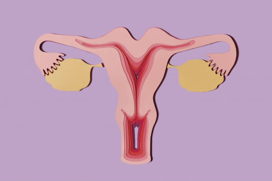 Ilustración en papel: Lina Paola Gil Cardona. / Foto: Natalia Pedraza Bravo