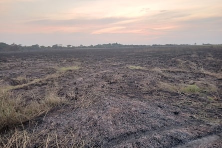 Denuncian incendio intencional que habría arrasado 900 hectáreas en bioparque del Casanare