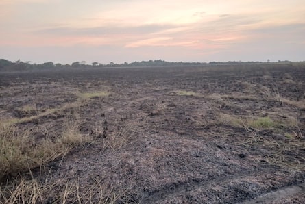 Denuncian incendio intencional que habría arrasado 900 hectáreas en bioparque del Casanare