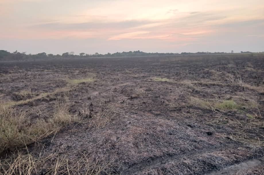 Fundación Palmarito.