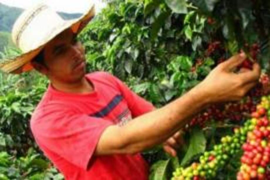 Nombramiento de Iragorri genera polémica en sector agropecuario