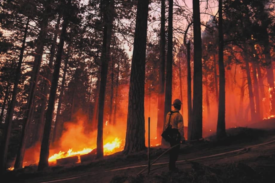 Según el informe, una de las causas del aumento en la concentración de CO2 son los incendios. Patrick T. FALLON / AFP.