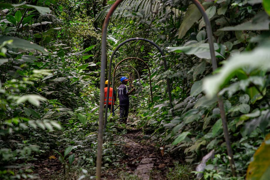 Las iniciativas comunitarias para conservar la naturaleza que surgieron tras el Acuerdo de Paz.