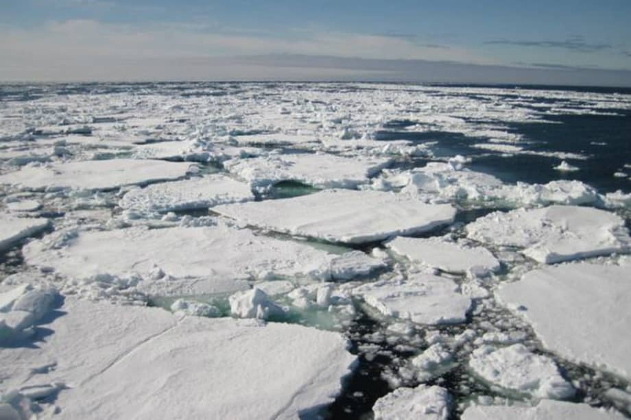 Archivo EFE / Archivo EFE