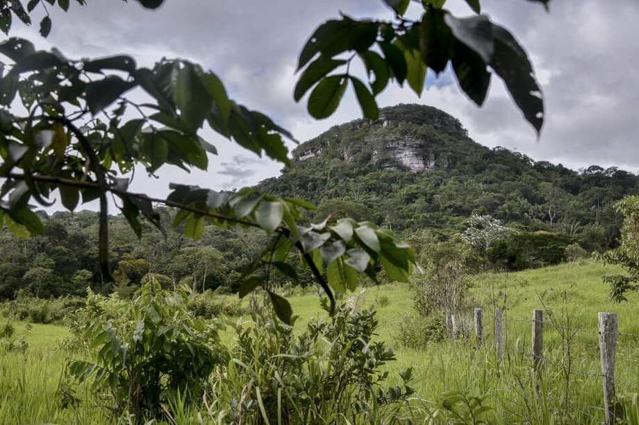 La Serranía de La Lindosa, en San José del Guaviare, es Área Arqueológica Protegida y uno de los más importantes sitios turísticos del departamento. / AFP
