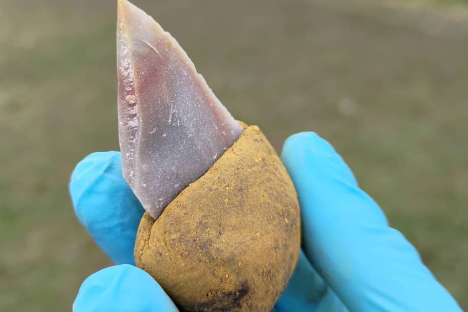 La herramienta de piedra se pegó en un mango hecho de betún líquido con la adición de un 55 % de ocre. / Patrick Schmidt