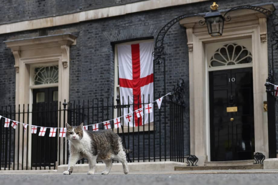 Larry el gato camina frente a Downing Street en Londres, Reino Unido.