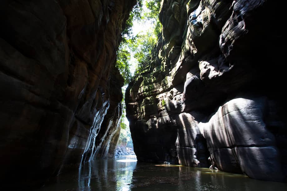 La Amazonía se encuentra en su punto de de no retorno.