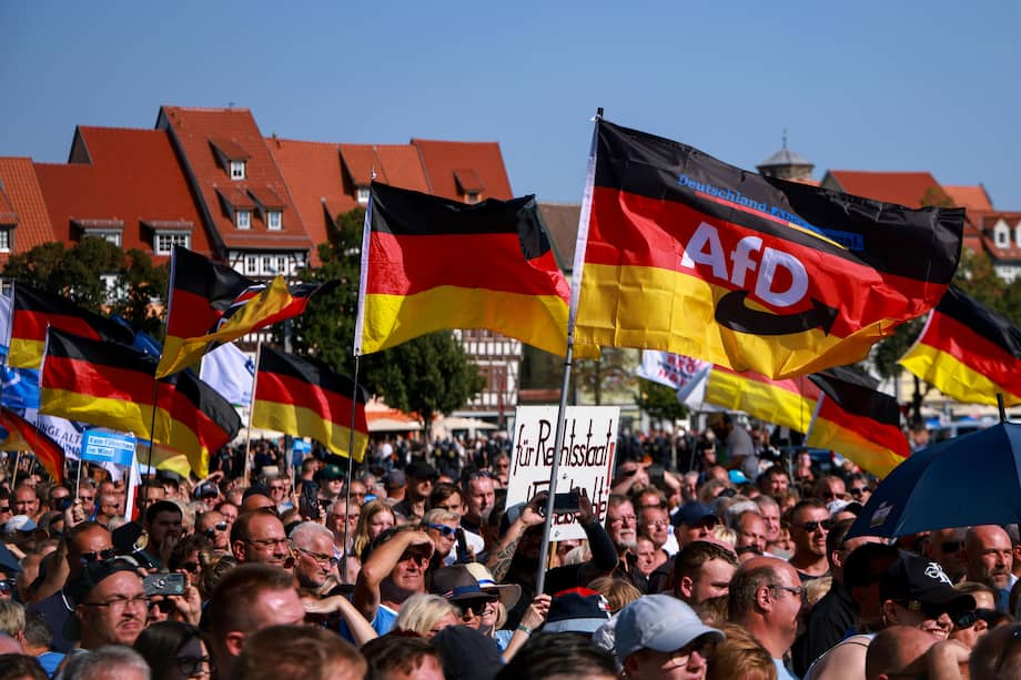 Partidarios del partido de extrema derecha Alternativa para Alemania (AfD).