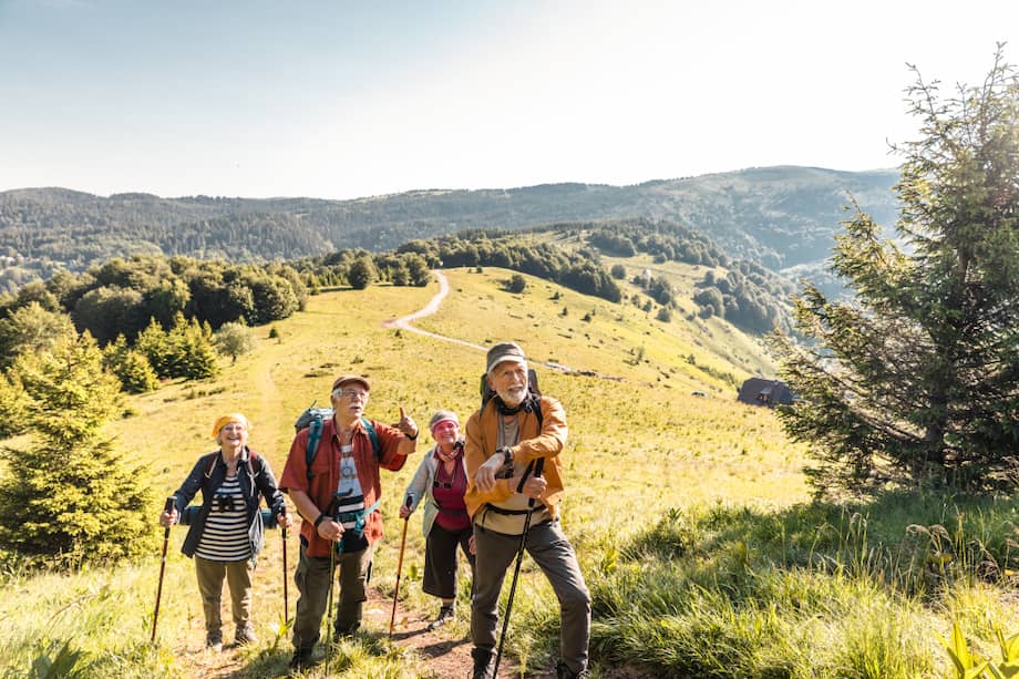Los anfitriones senior representan casi el 15 % de la comunidad en Colombia.