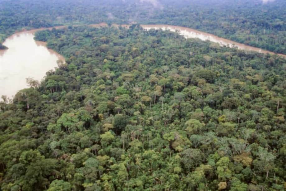 La declaratoria busca promover iniciativas para el buen manejo y gestión del río Amazonas. / Archivo El Espectador