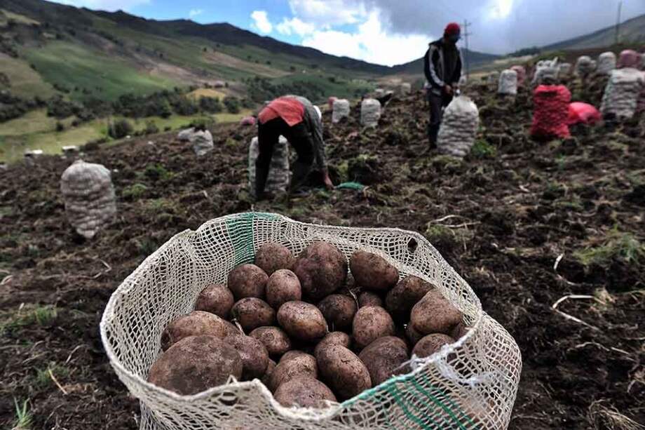 Presupuesto para el campo sería de $1,4 billones en 2016. / Archivo - El Espectador