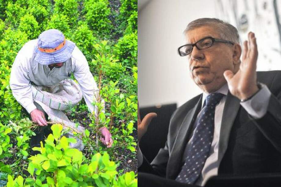 César Gaviria, director del Partido Liberal y miembro de la Comisión Global de Políticas de Drogas. / Archivo