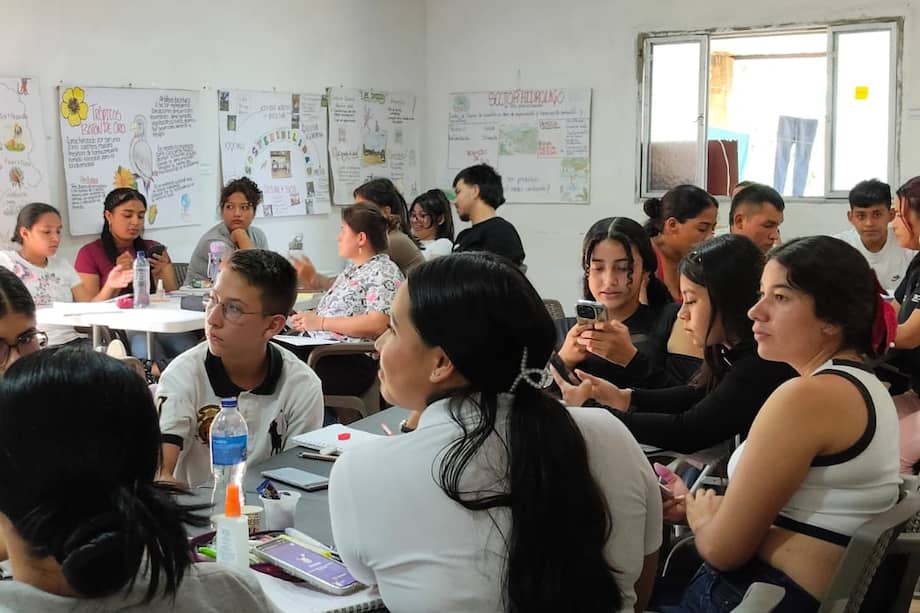 La iniciativa es impulsada por la Federación Mesa Nacional del Café (Femncafé), una organización creada por firmantes de paz y comunidades que hoy reúne a 1.600 hombres y mujeres de 37 organizaciones.